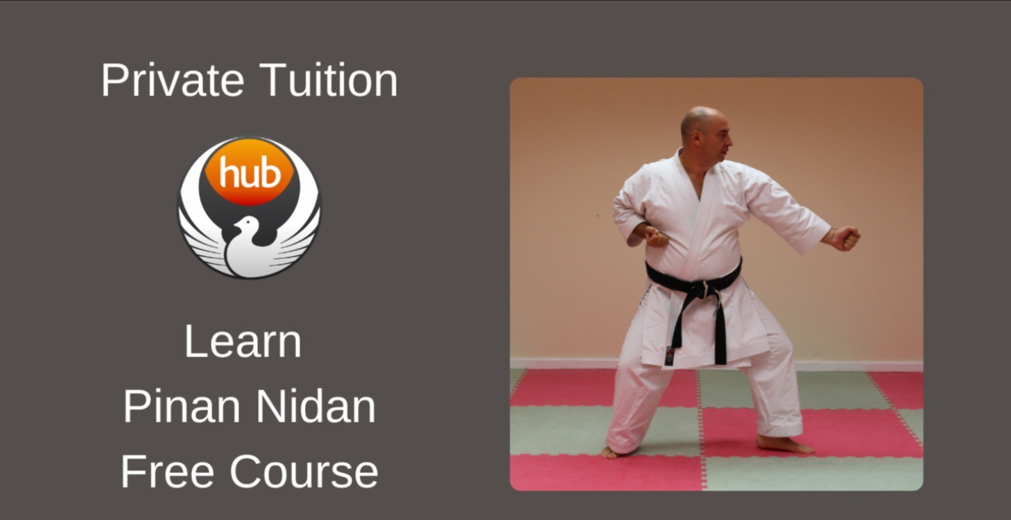 Wado Kata Pinan Nidan FREE