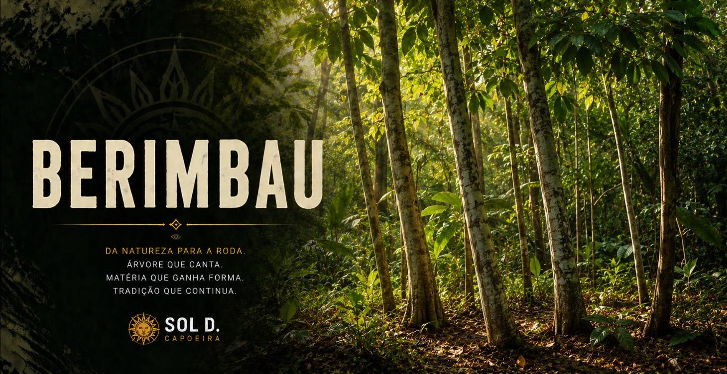 Berimbau Kurs