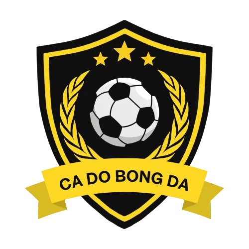 Web Cá Độ Bóng Đá