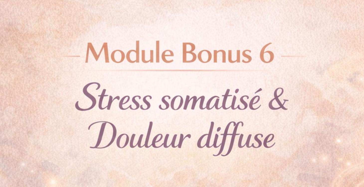 Module Bonus 6