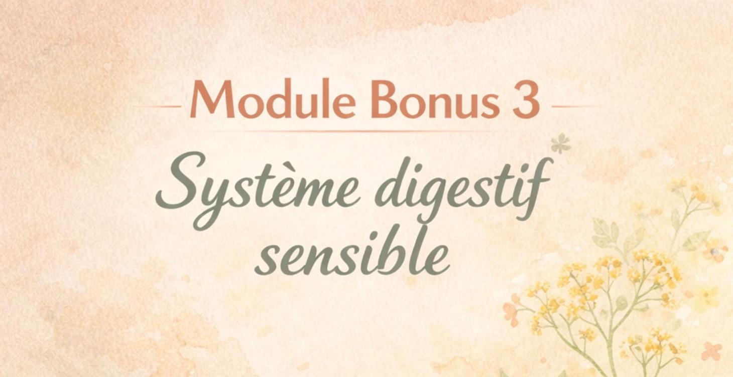 Module Bonus 3