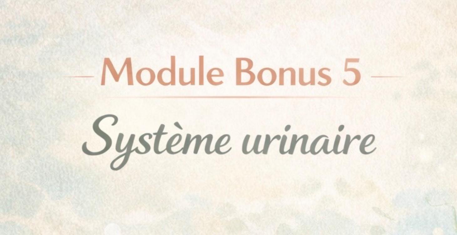 Module Bonus 5