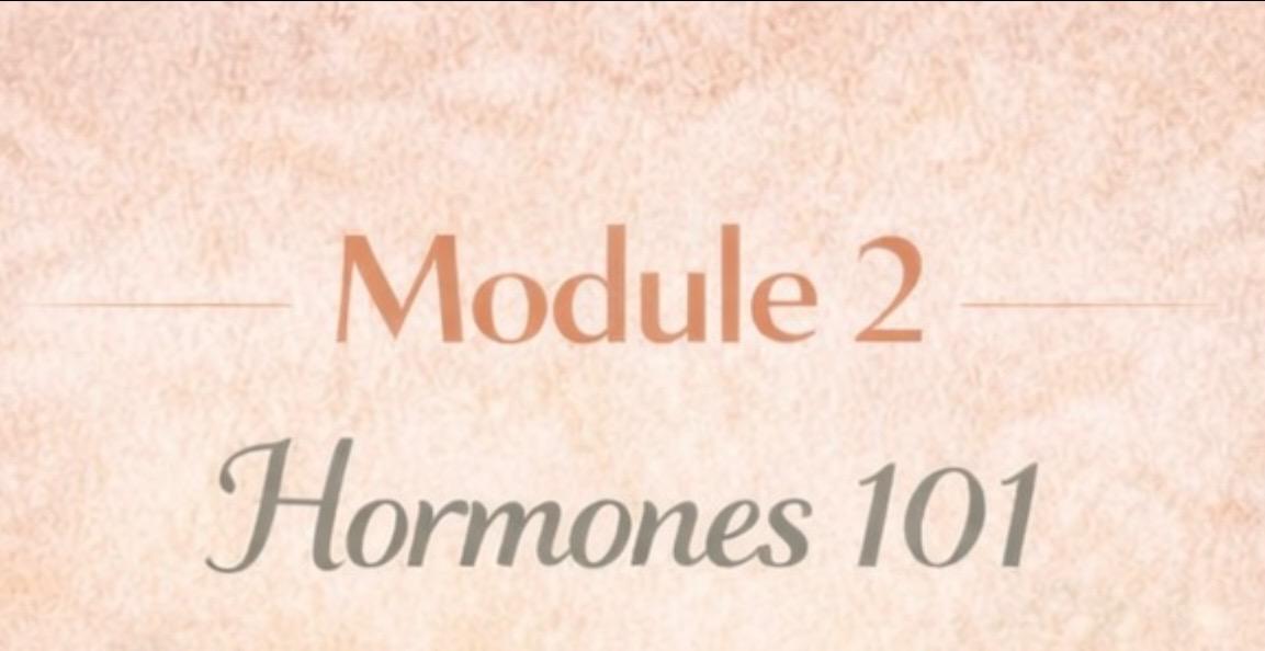 2: Hormones 101