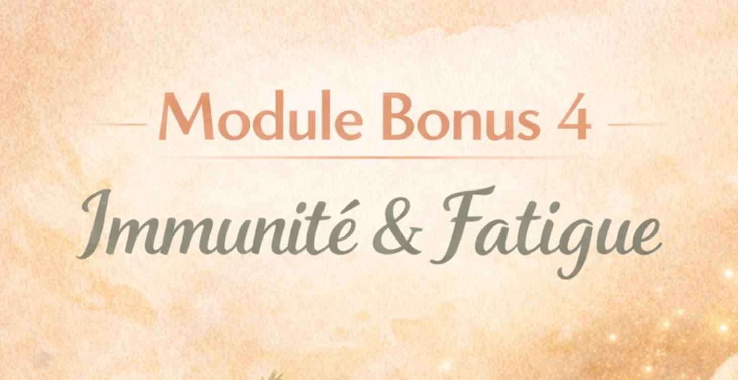 Module Bonus 4