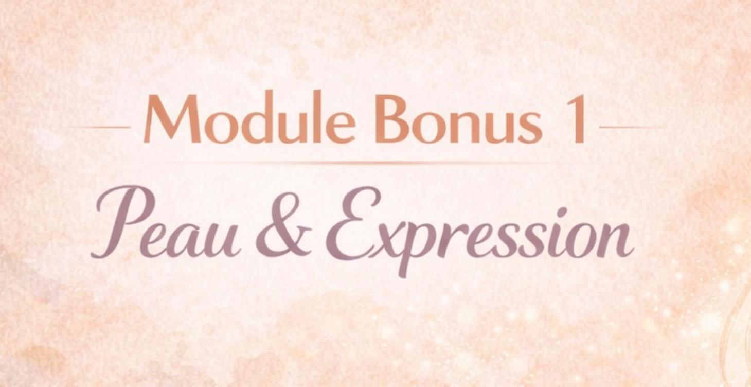 Module Bonus 1
