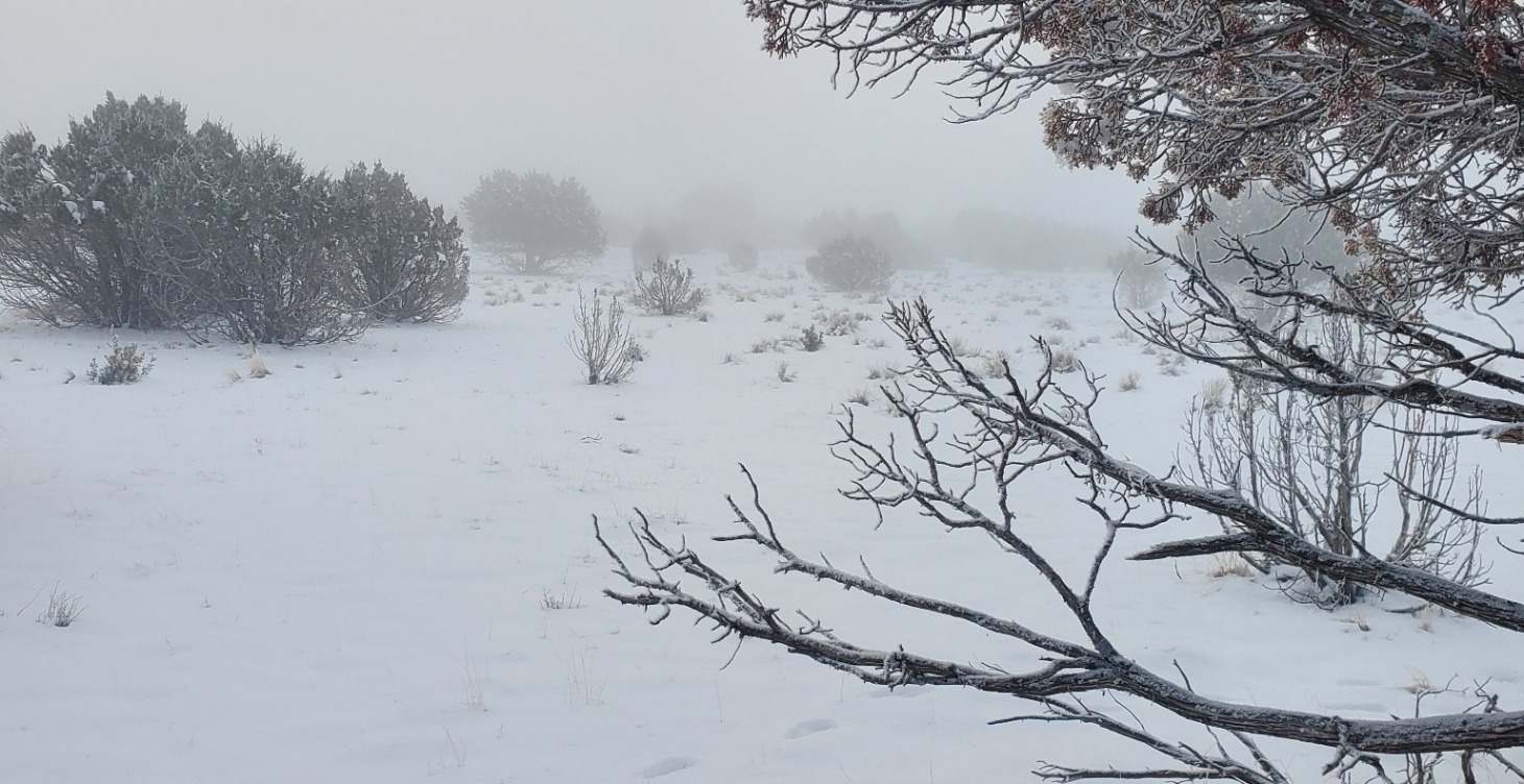 Rural living mindset and expectation leval.