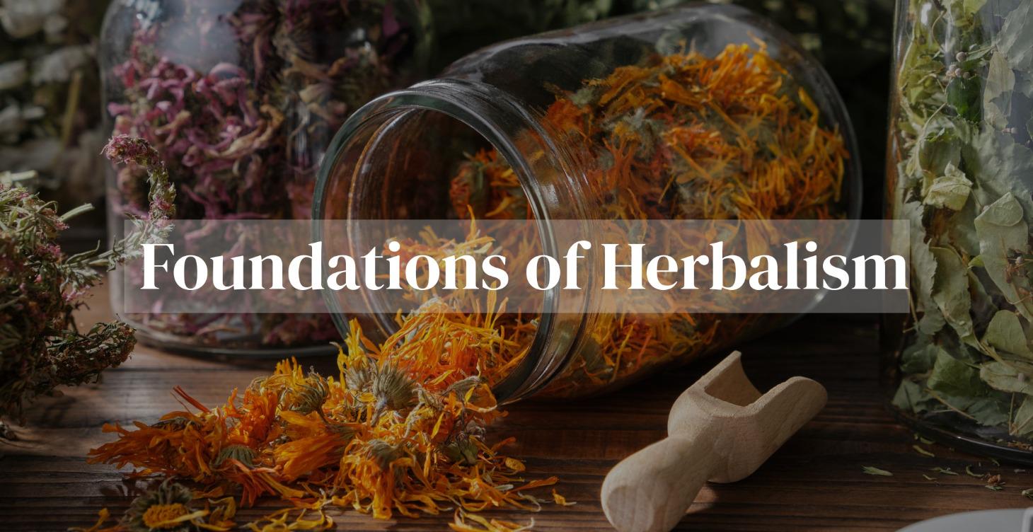 Foundations of Herbalism