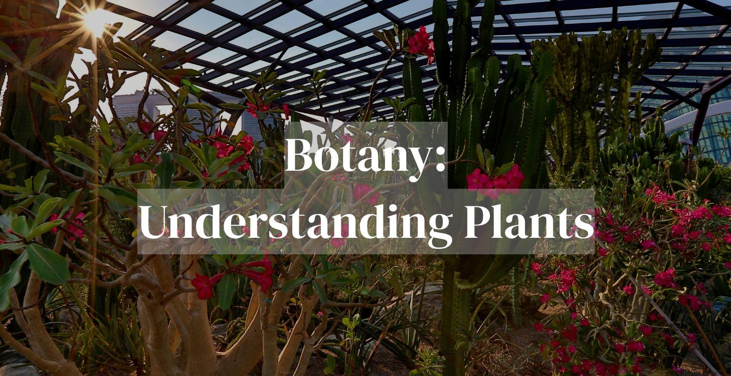 Botany: Understanding Plants Module