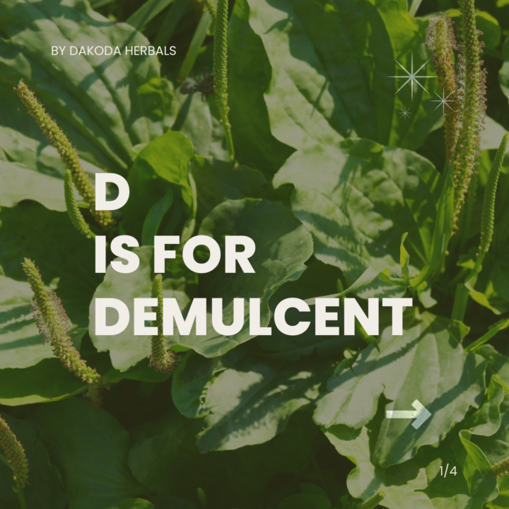 Weekly Materia Medica Series: Therapeutic Terms A-Z