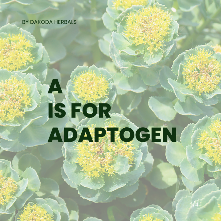 A is for Adaptogen!