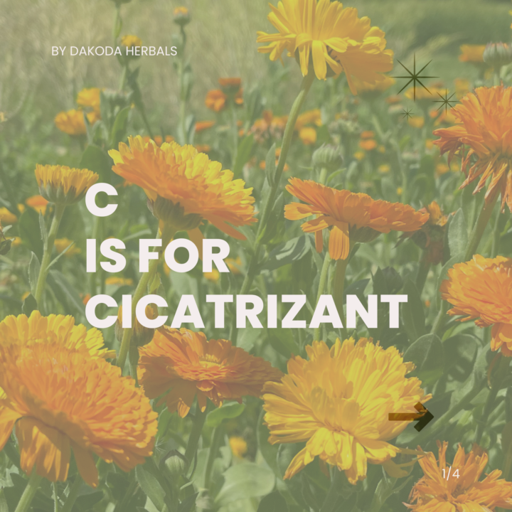 A-Z Therapeutic Terms: C is for Cicatrizant!