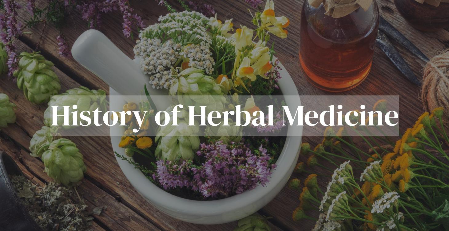 History of Herbal Medicine
