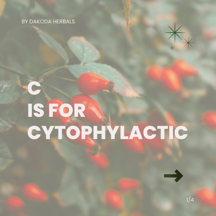 Weekly Materia Medica Series: Therapeutic Terms A-Z