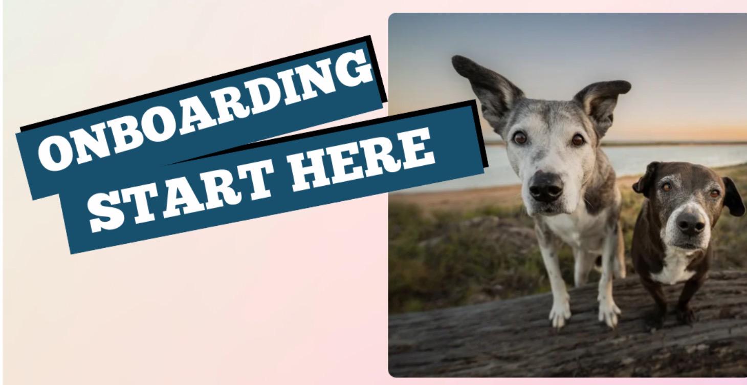 ONBOARDING