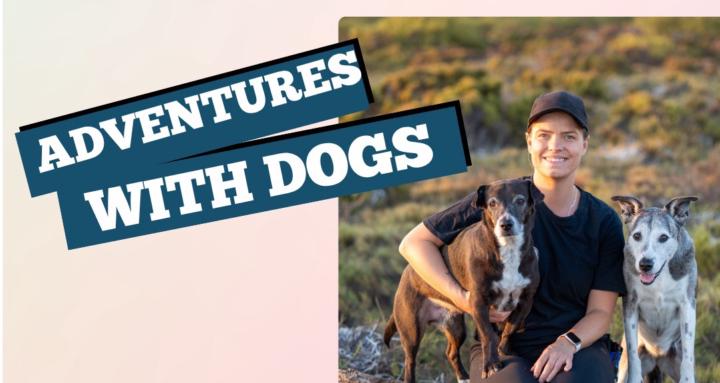 Scent Adventures With Dogs 