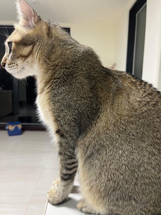 Hsiang Jui Chien