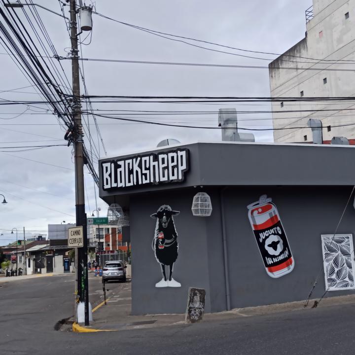 Presentación + regalo