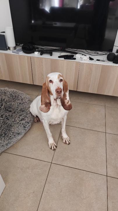 Juan Carlos Castillo Andreu