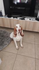 Juan Carlos Castillo Andreu