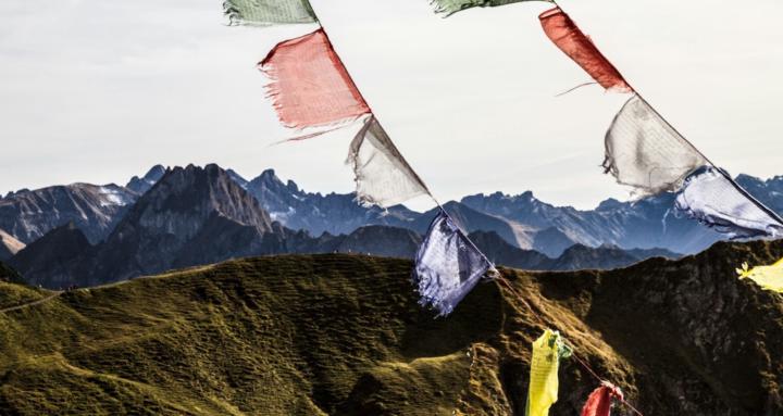 The Meditation Practice