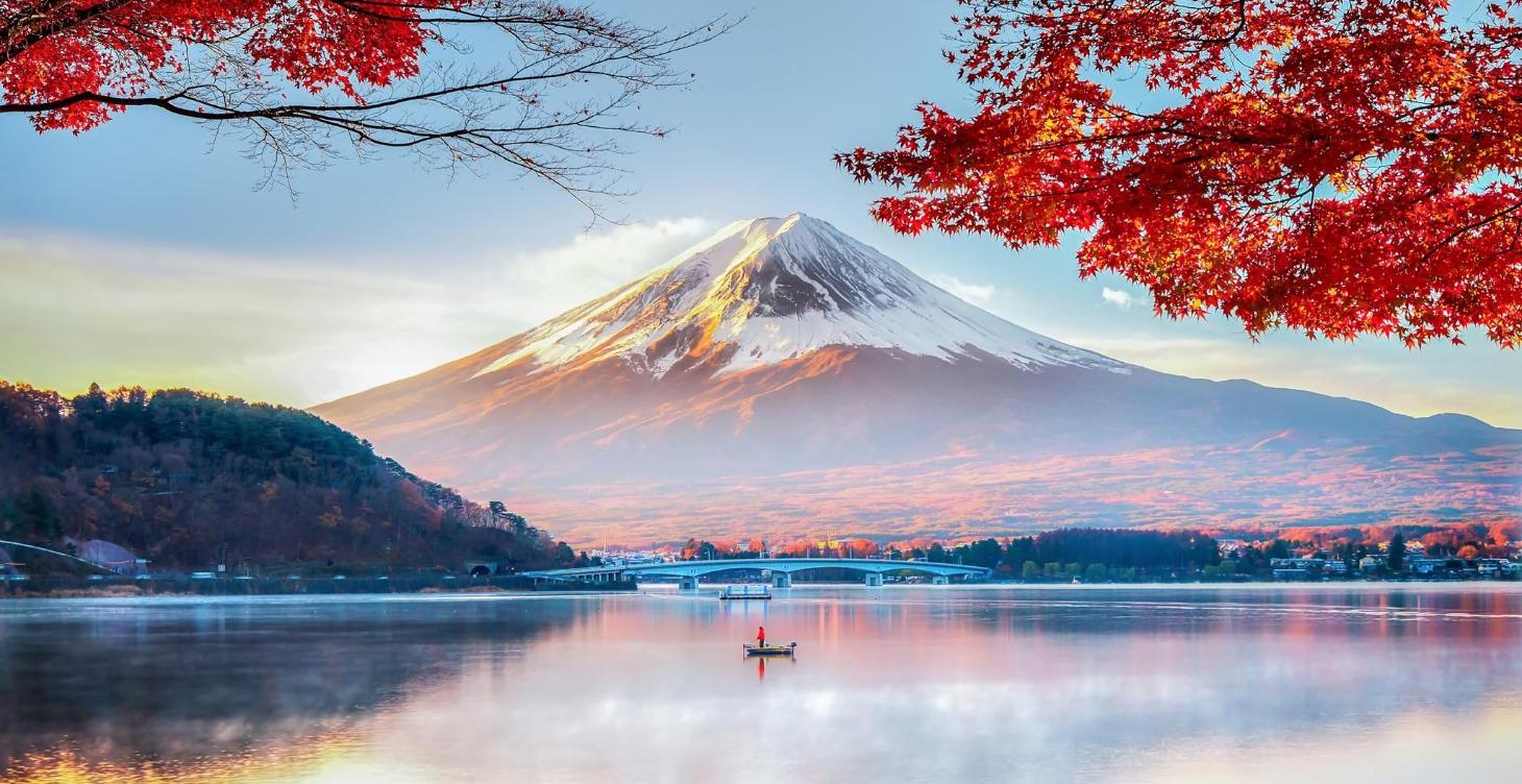 2/4 Liver & Colon Friendly Life