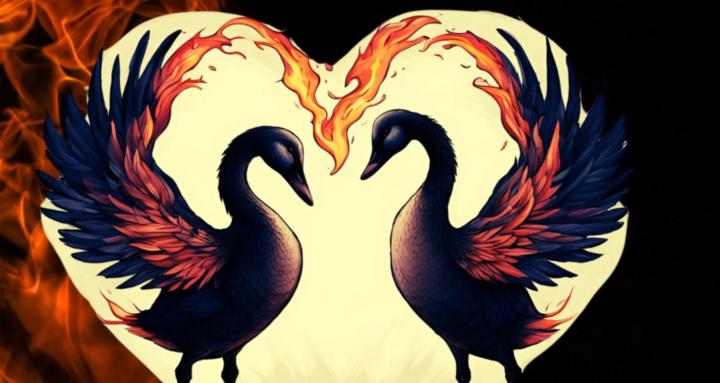 Healthy Dating Community