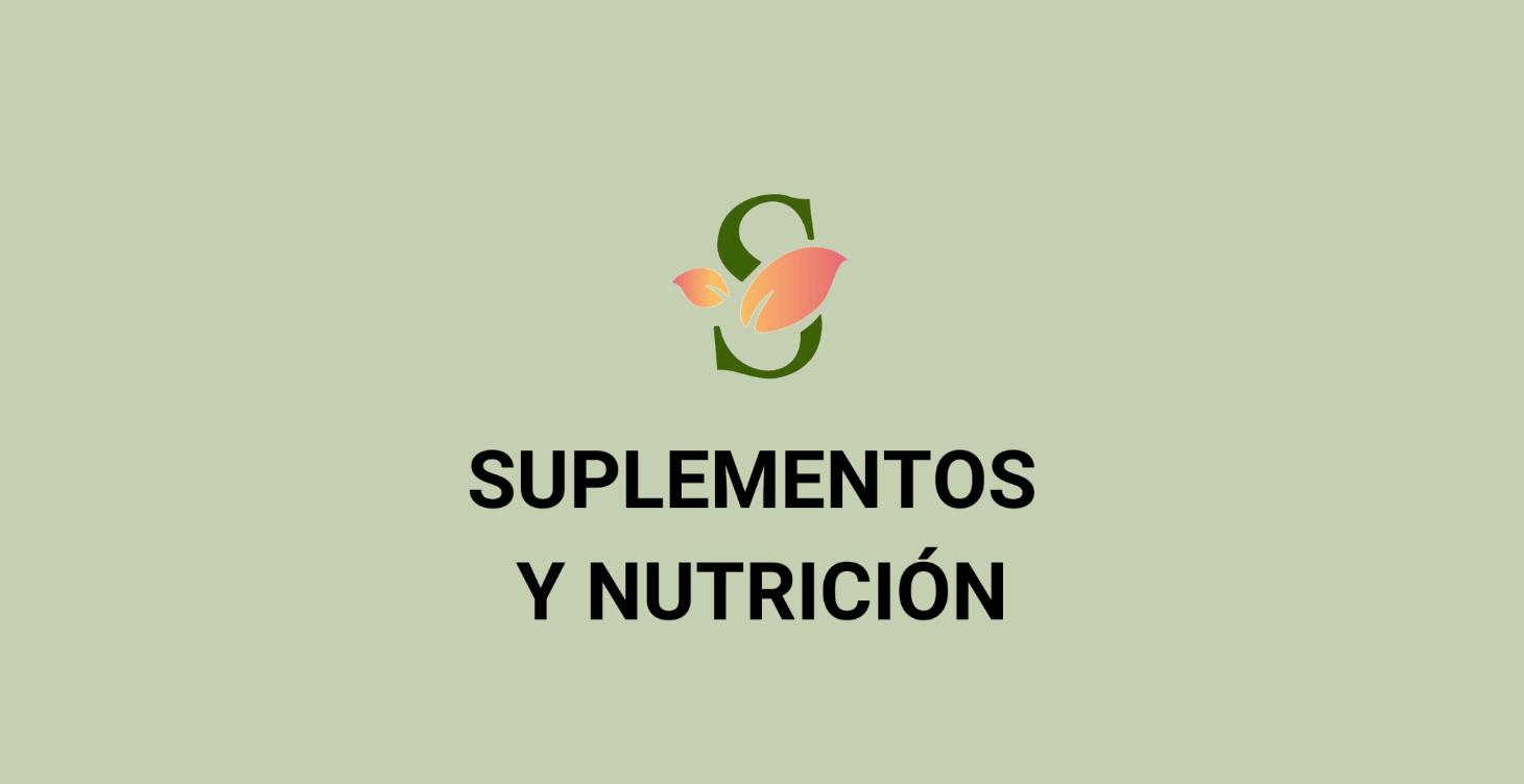 🎓 Formación de pago