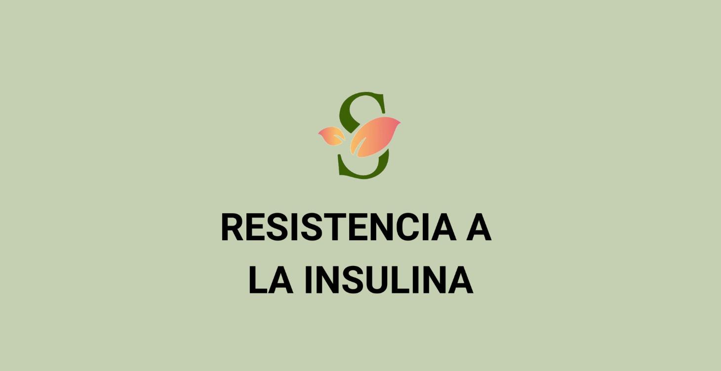 🎓 Formación de pago