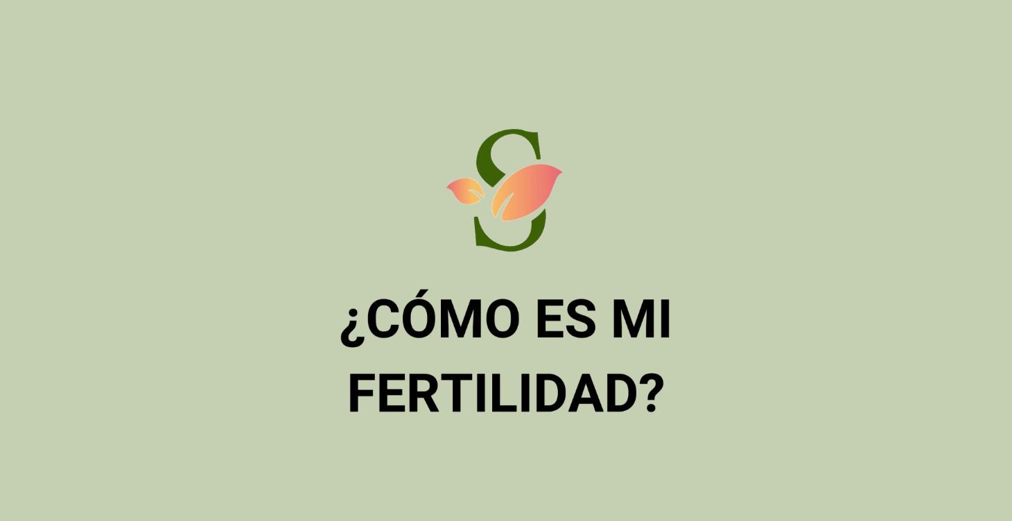 🎓 Formación de pago