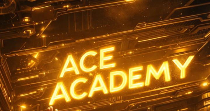 THE ACE ACADEMY