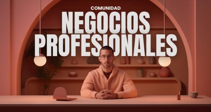 NEGOCIOS PROFESIONALES