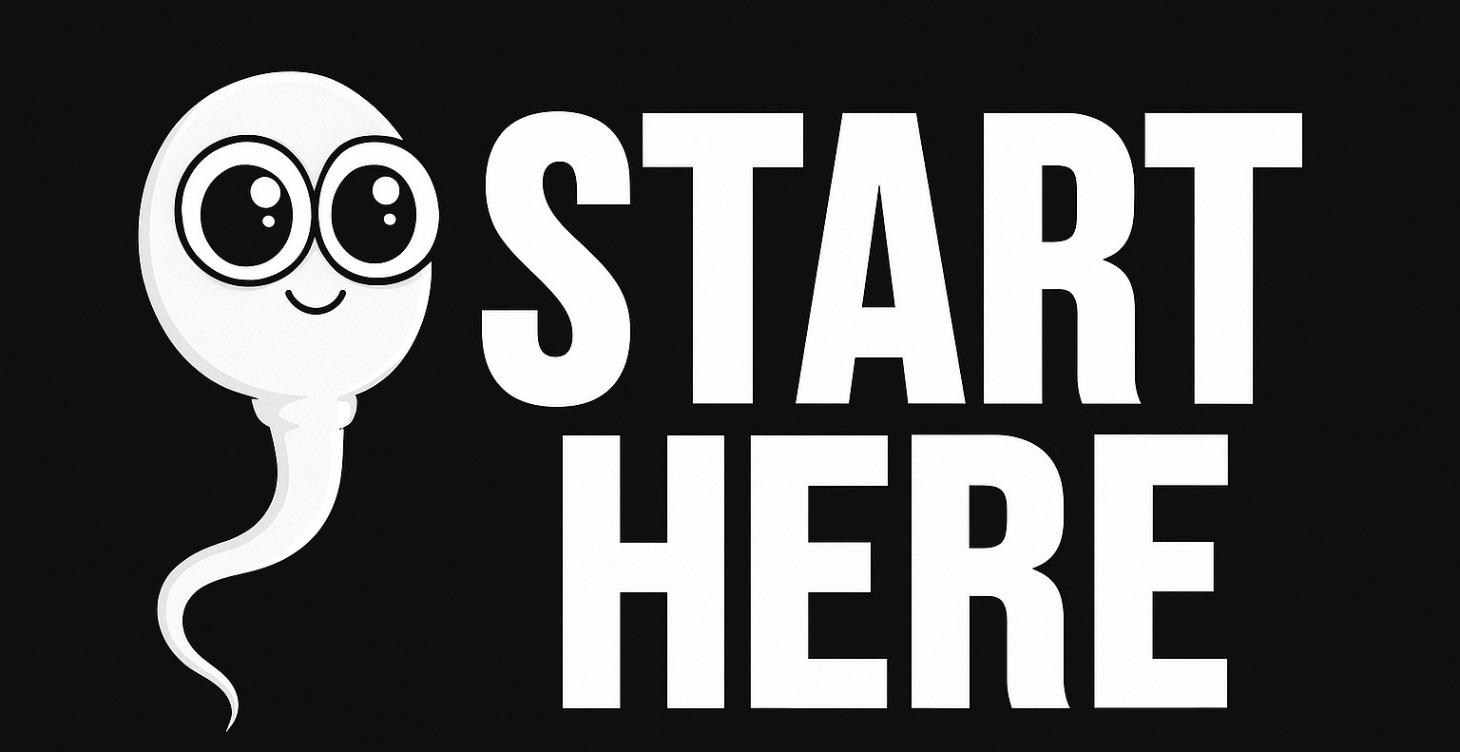 START HERE: HOW THIS SKOOL WORKS