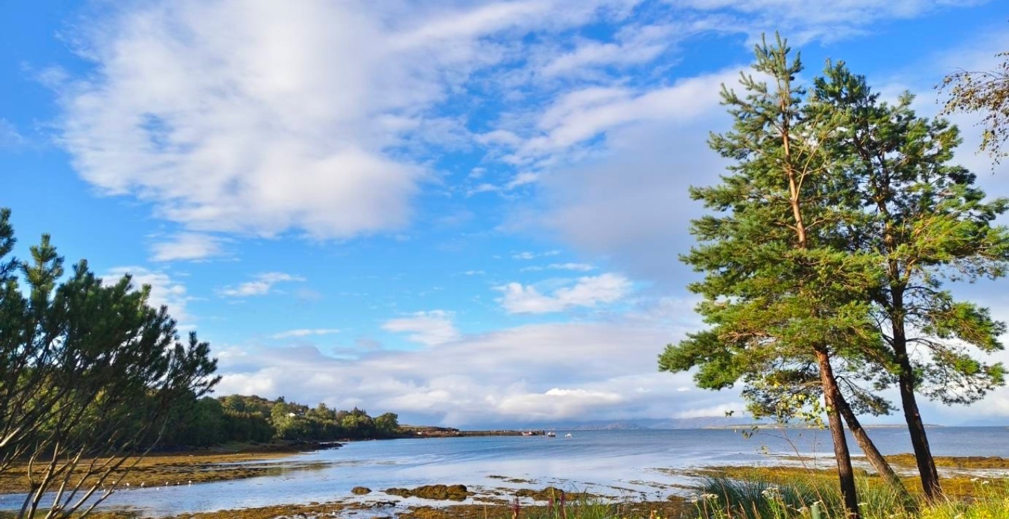 凱若微日誌 2025/26