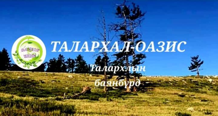 Gratitude-Oasis\Талархал-Оазис