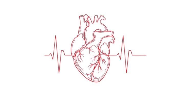 ❤️ ʙᴀʀʀᴏɴ'ꜱ - ᴍᴇᴅꜰᴏʀʏᴏᴜ