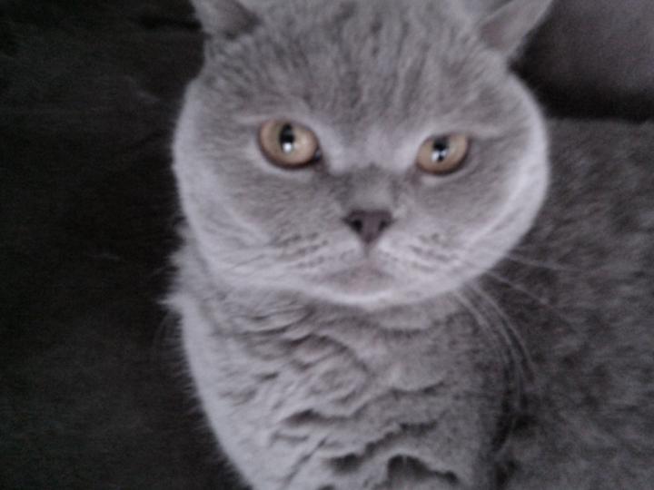Birgit S