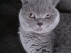 Birgit S