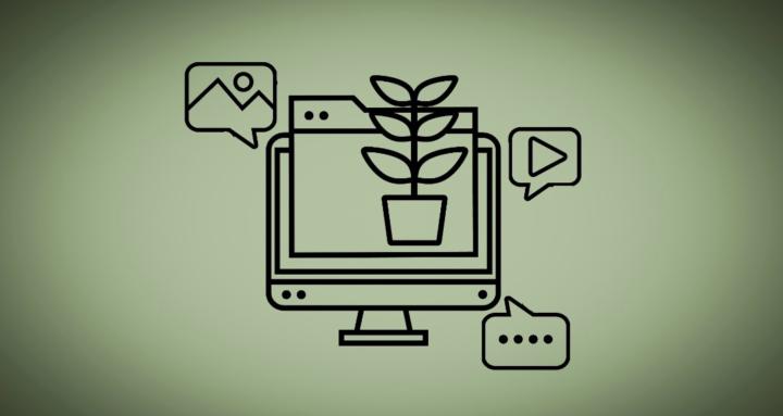 Linor's Marketing Courses