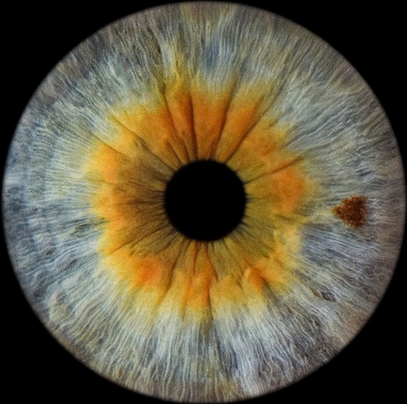 Victoria Harrington-Biddle