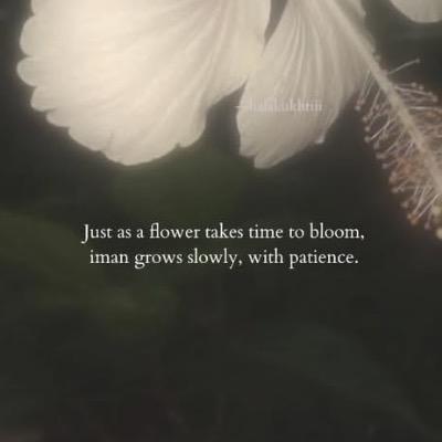Empathy And love