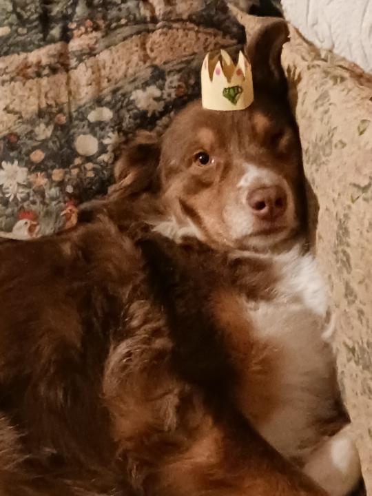 Kathy Ambrose-Coonrod