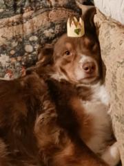 Kathy Ambrose-Coonrod