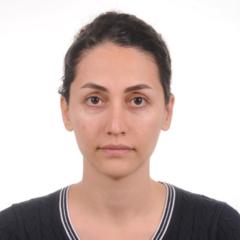 Paria Alipour