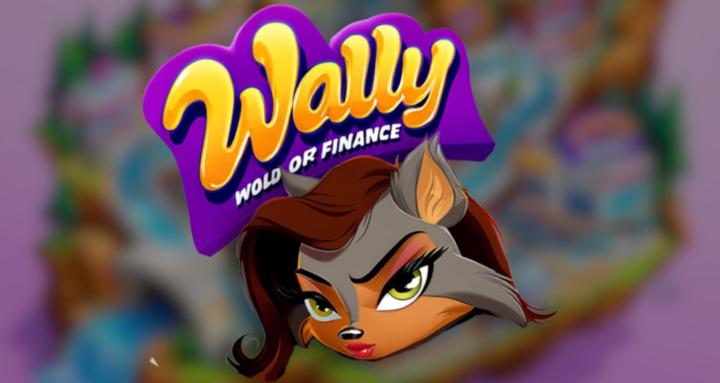 Wally World of Finance