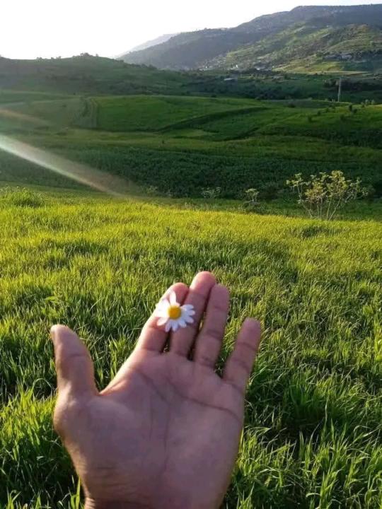 Omar Zaroual
