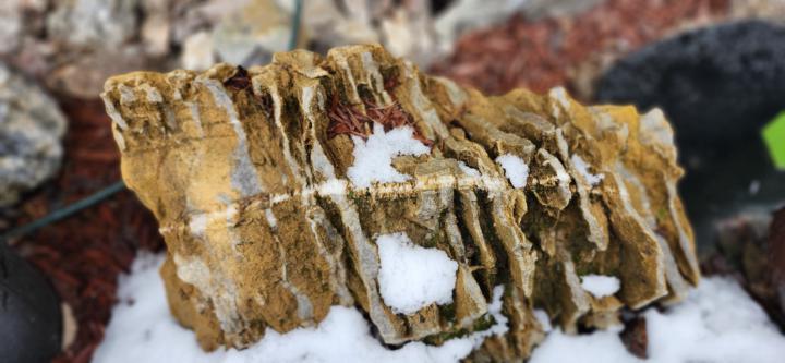 🌲Cool Rocks We Found in the East Kootenays! (by [sheldon evans] and my brother Robert)