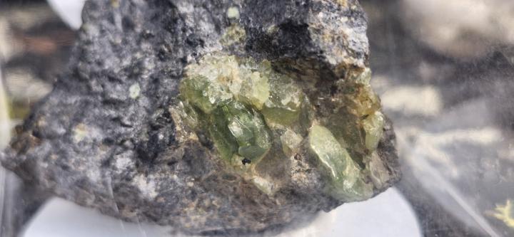 🔥 Show Your Rock Finds Friday – Peridot in Basalt from Nelson, BC 🔥 
