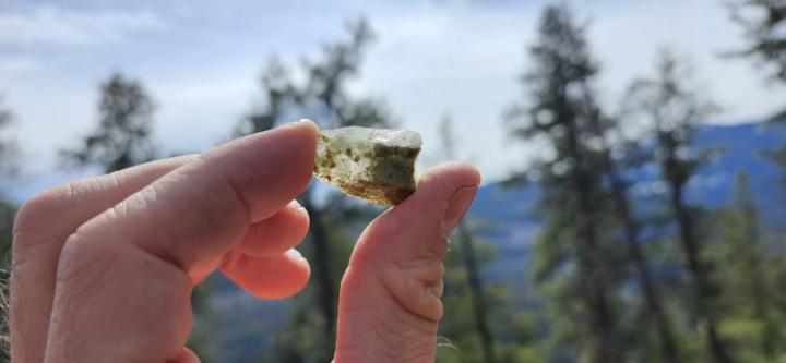 The hunt for green chlorite included quartz