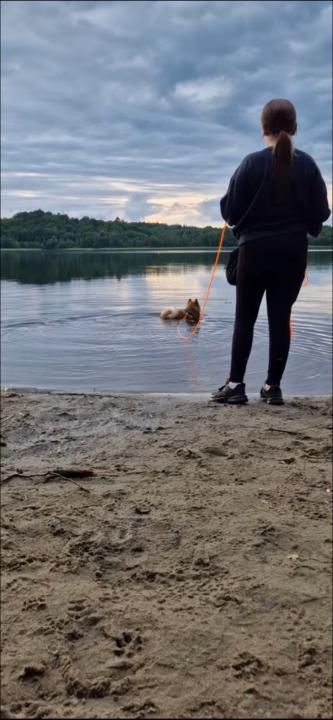 Tyra Krångh