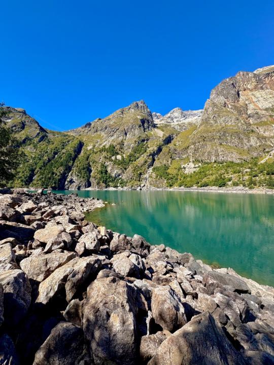 Shaynes Benteldjoune